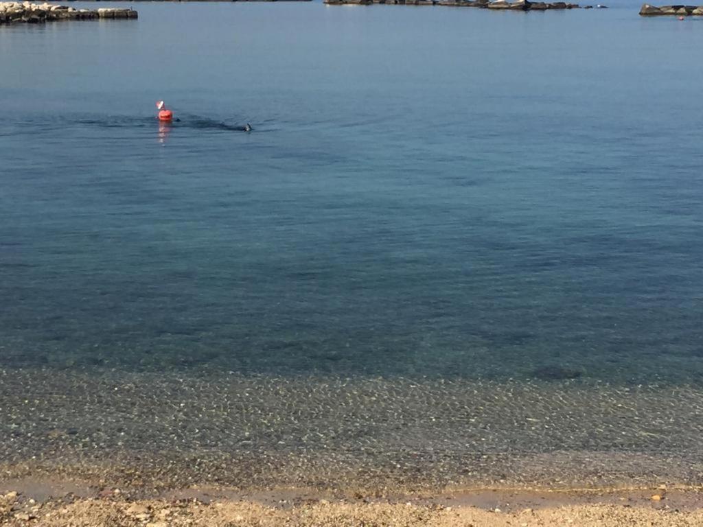 La Mia Terrazza Sul Mare - Mared'Amare Διαμέρισμα Μπάρι Εξωτερικό φωτογραφία